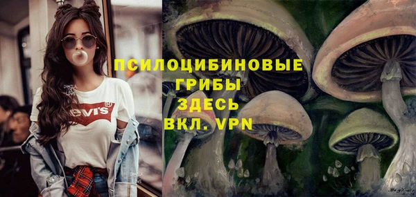 таблы Аркадак