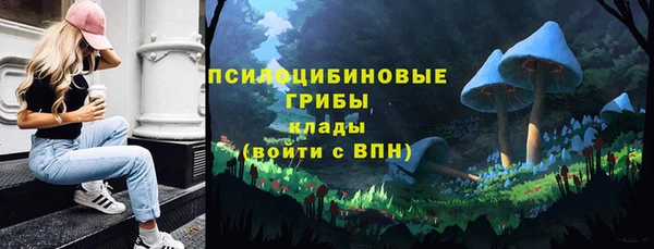 мескалин Арсеньев